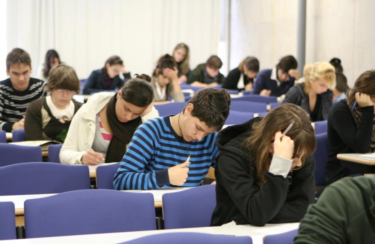 reportaje documental las palmas