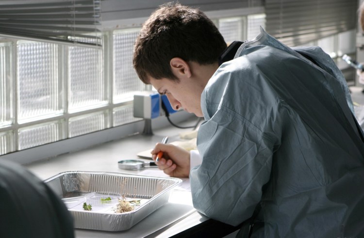 reportaje documental las palmas