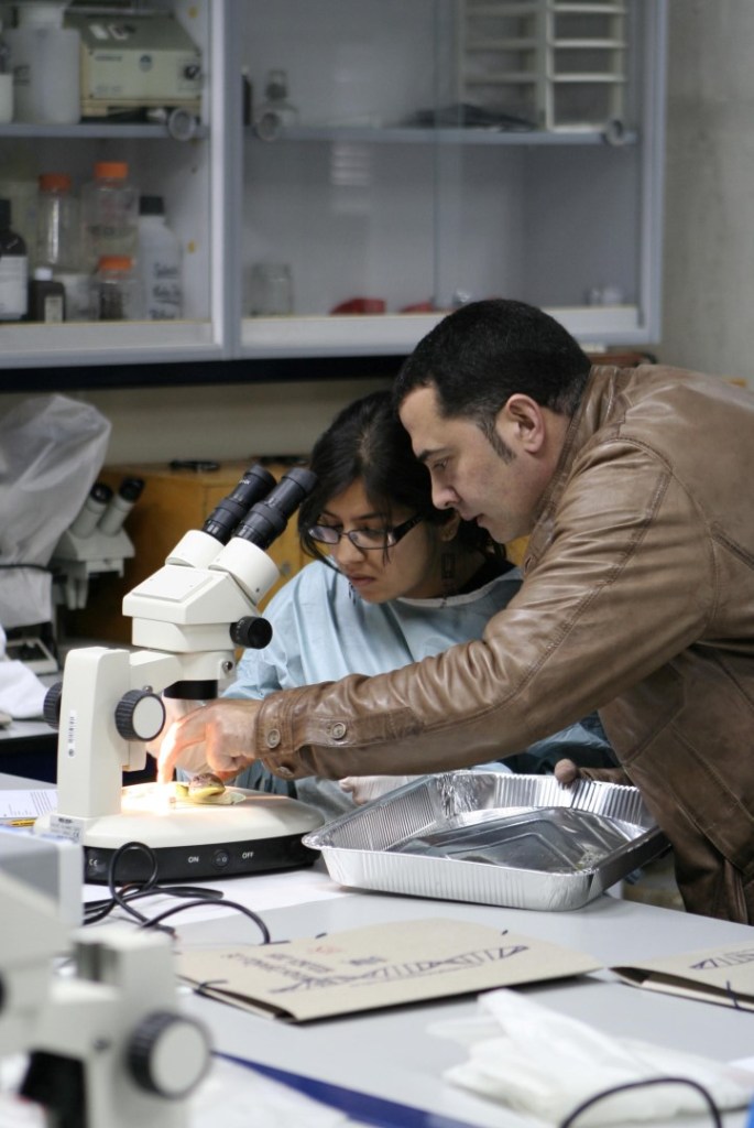 reportaje documental las palmas