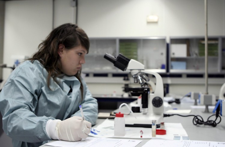 reportaje documental las palmas